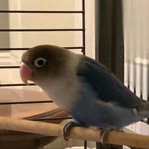 Meet your Posher, Jacqueline